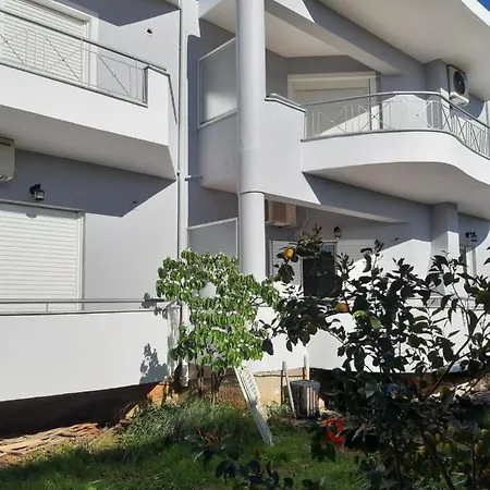 Apartment Delfin Kalogesis *